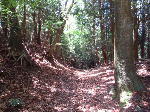 登山道